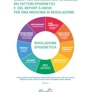 Manuale S-Drive